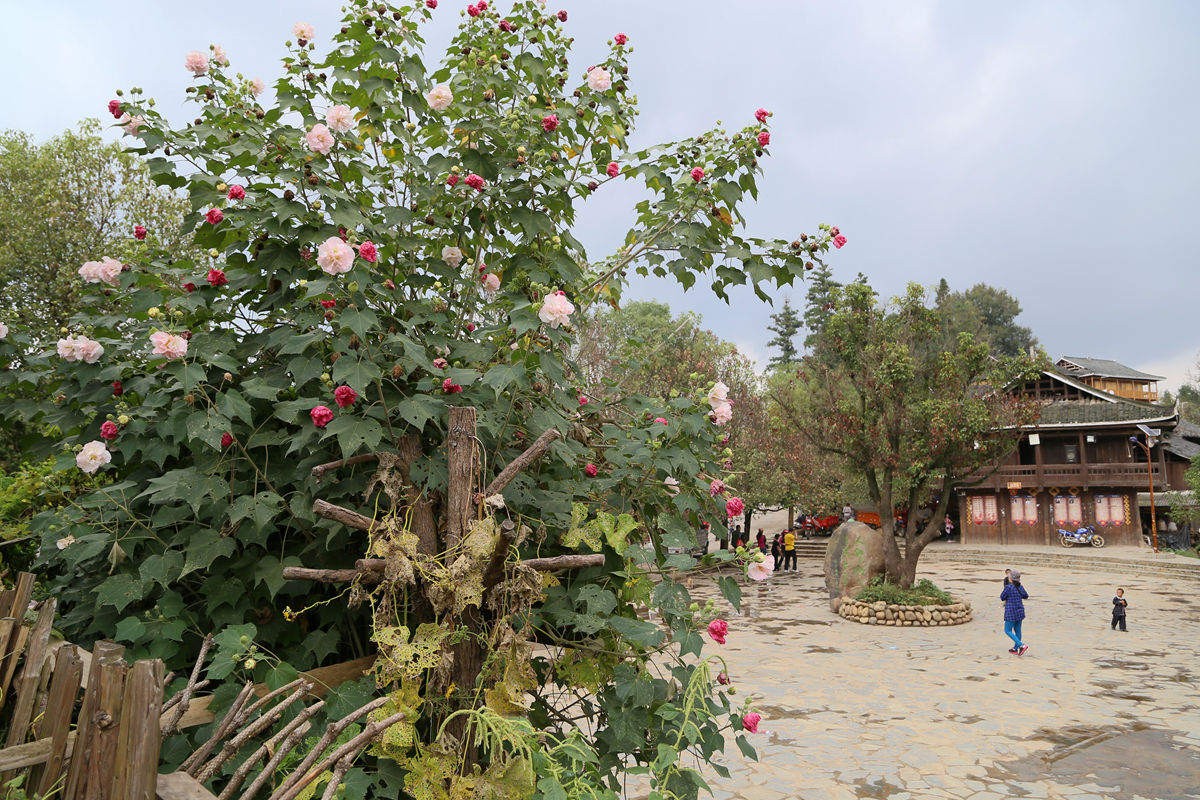 IMG_1688_副本.jpg