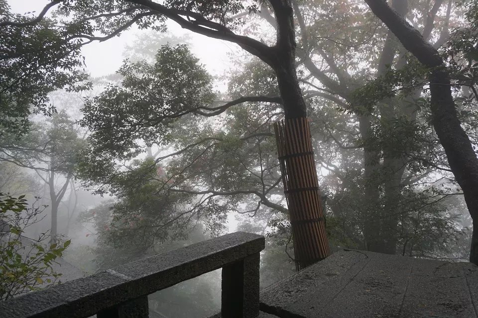 d云雨黄山.jpg