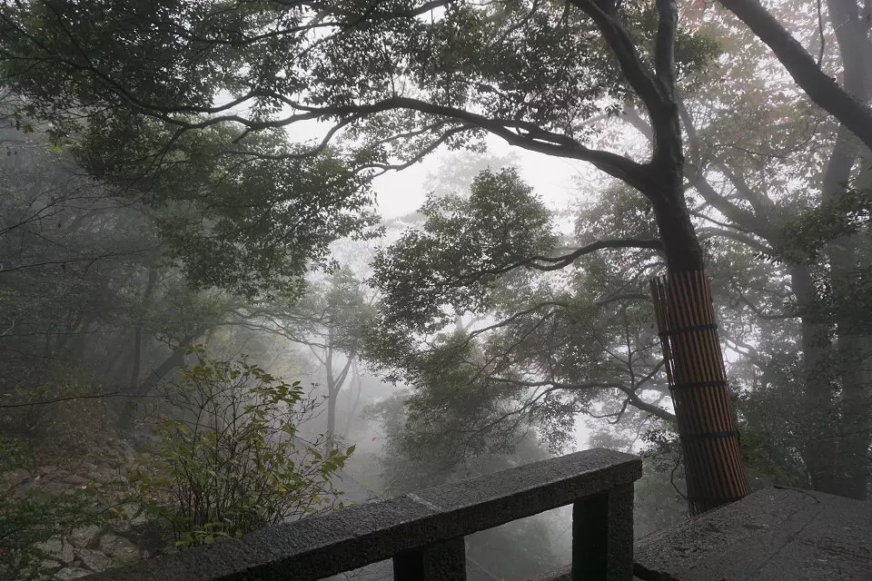 d云雨黄山 (1).jpg