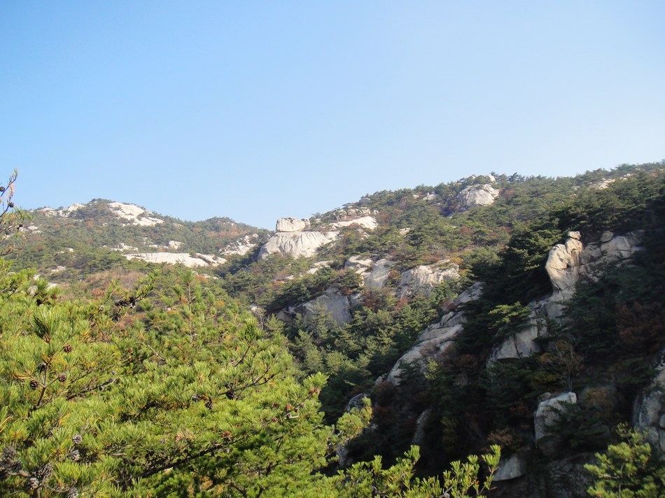 DSC05344.jpg
