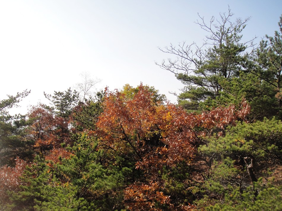 DSC05356.jpg