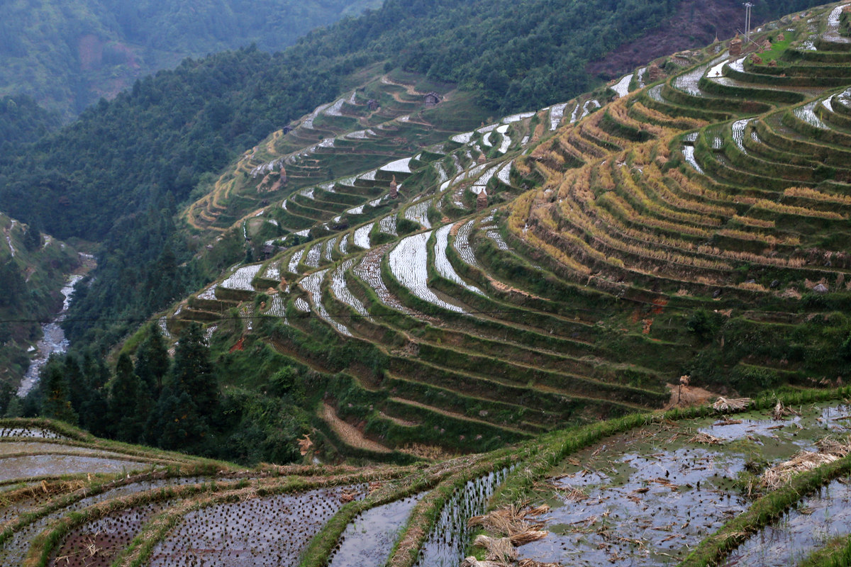 IMG_1817_副本.jpg