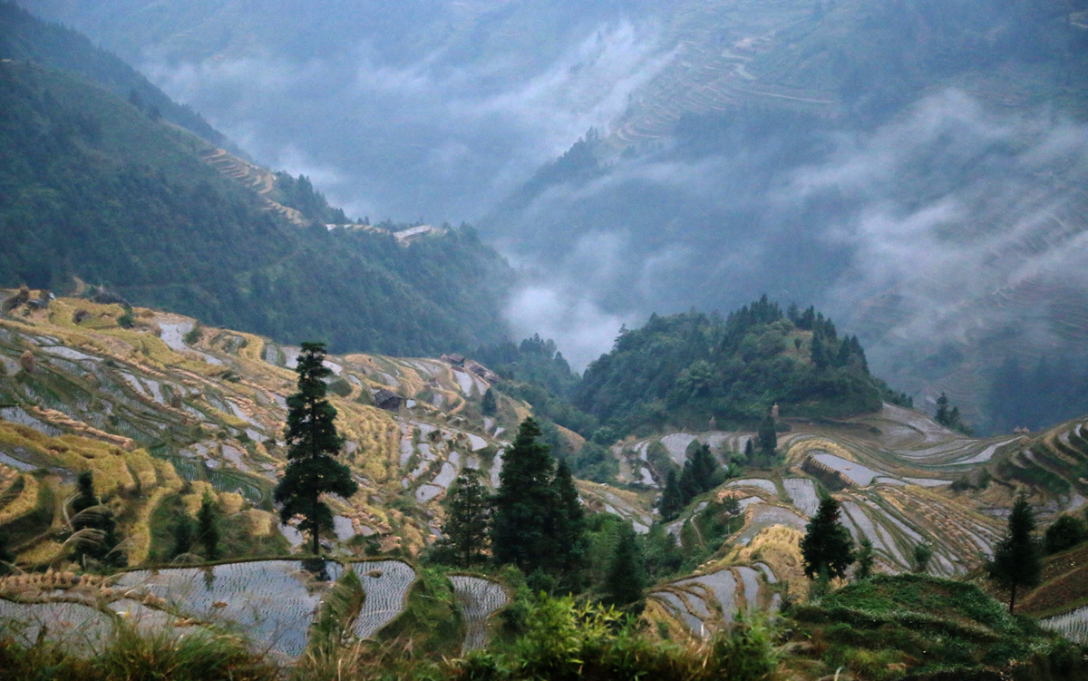 IMG_1881_副本.jpg