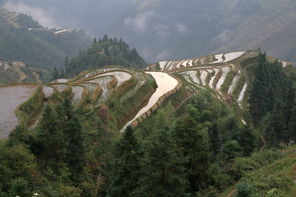IMG_1950_副本.jpg
