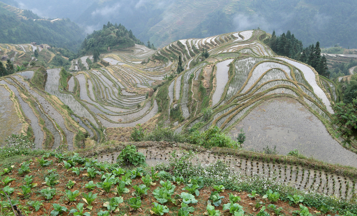 IMG_1953_副本.jpg