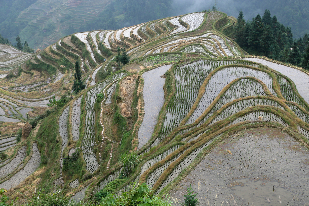 IMG_1954_副本.jpg
