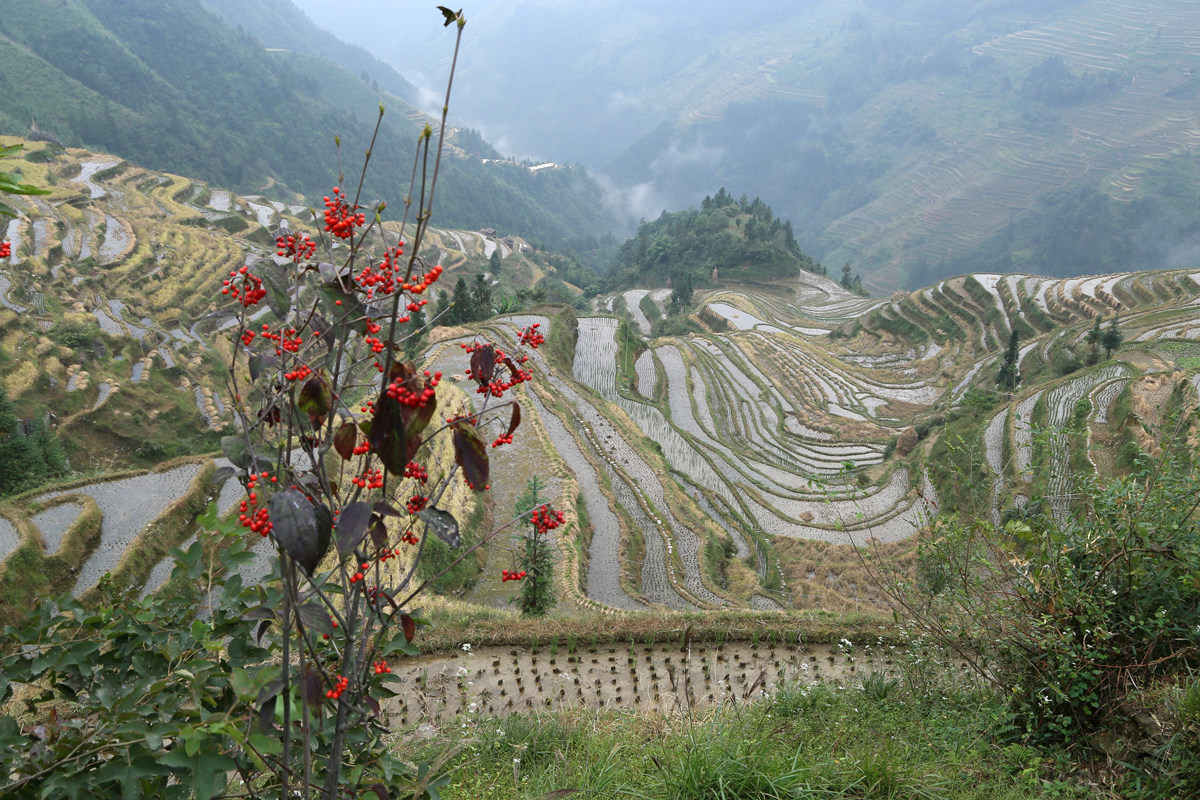 IMG_1956_副本.jpg