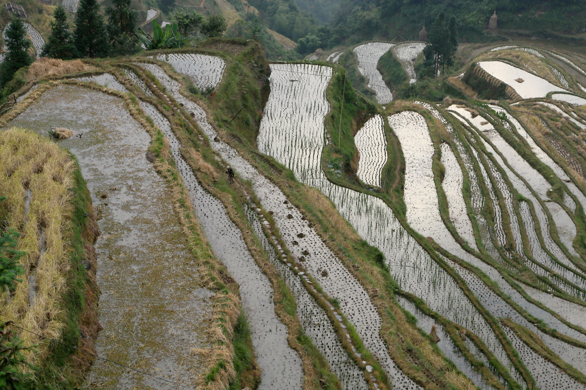 IMG_1961_副本.jpg