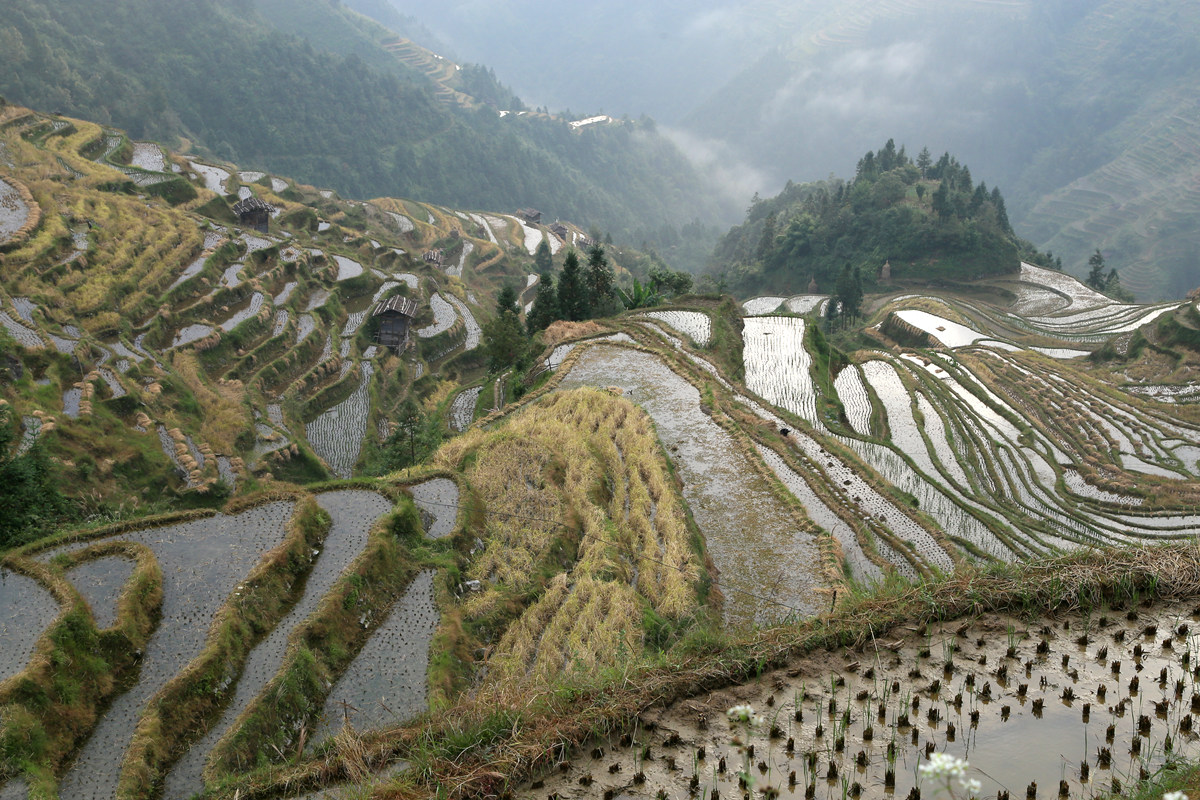 IMG_1965_副本.jpg
