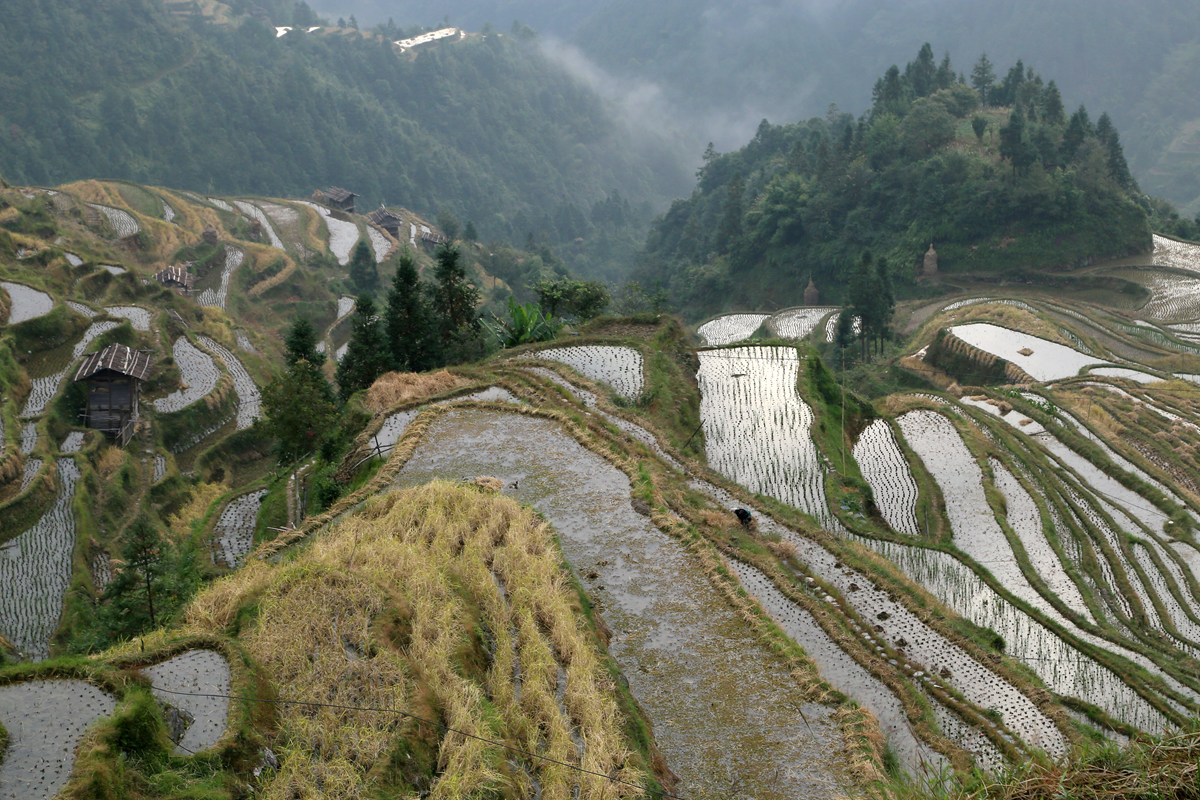IMG_1967_副本.jpg