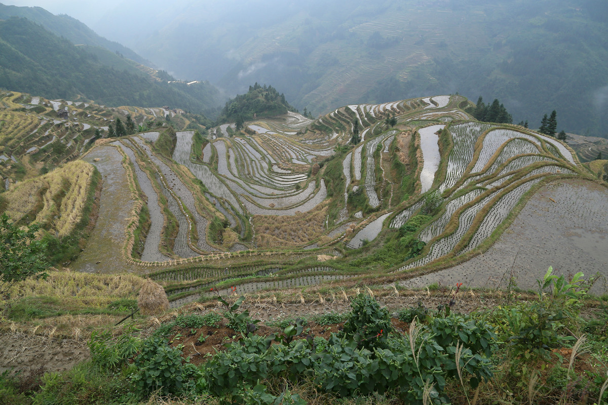 IMG_1977_副本.jpg