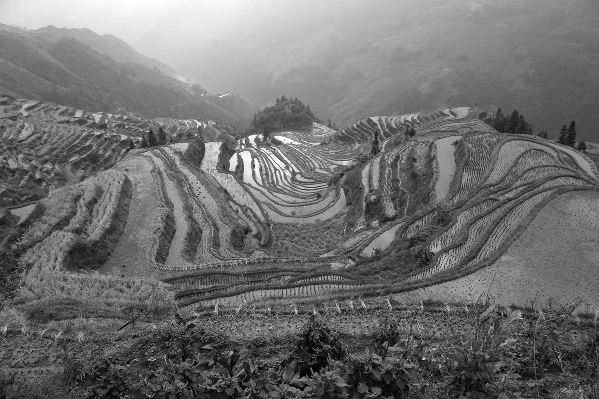 IMG_1983_副本.jpg