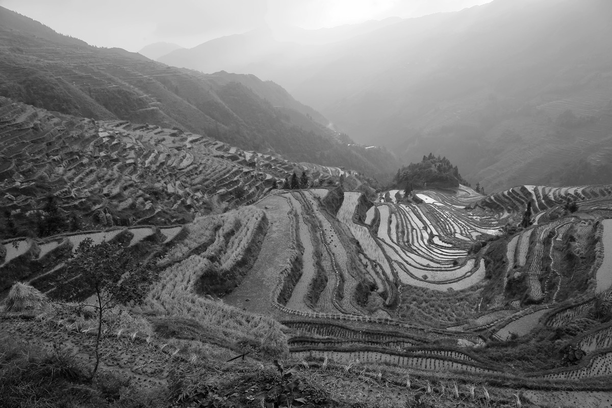 IMG_1986_副本.jpg