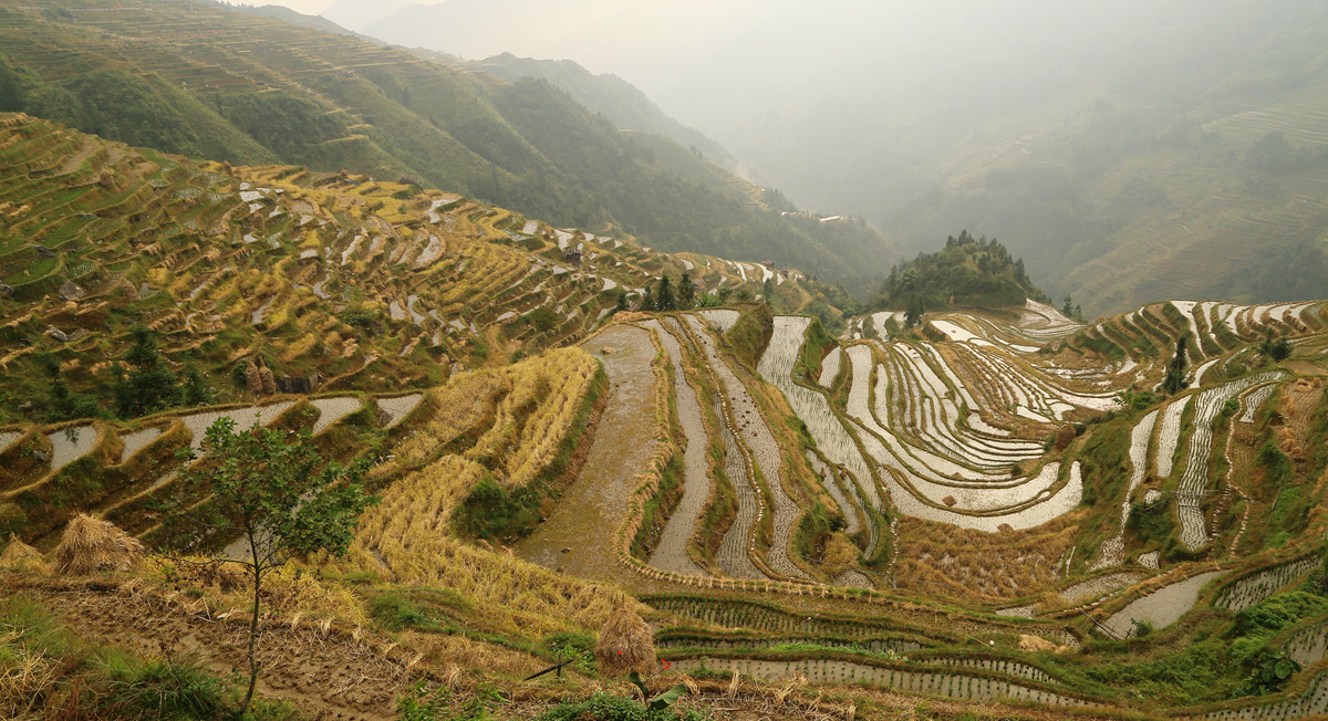 IMG_1987_副本.jpg