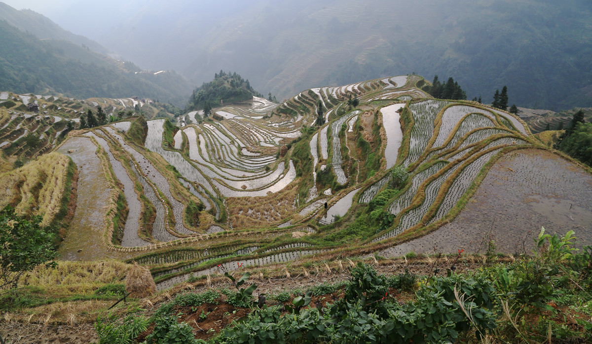IMG_1990_副本.jpg