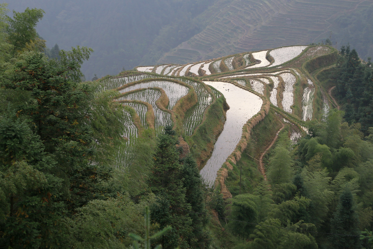 IMG_2032_副本.jpg