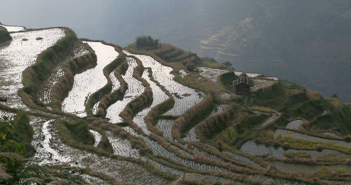 IMG_2046_副本.jpg