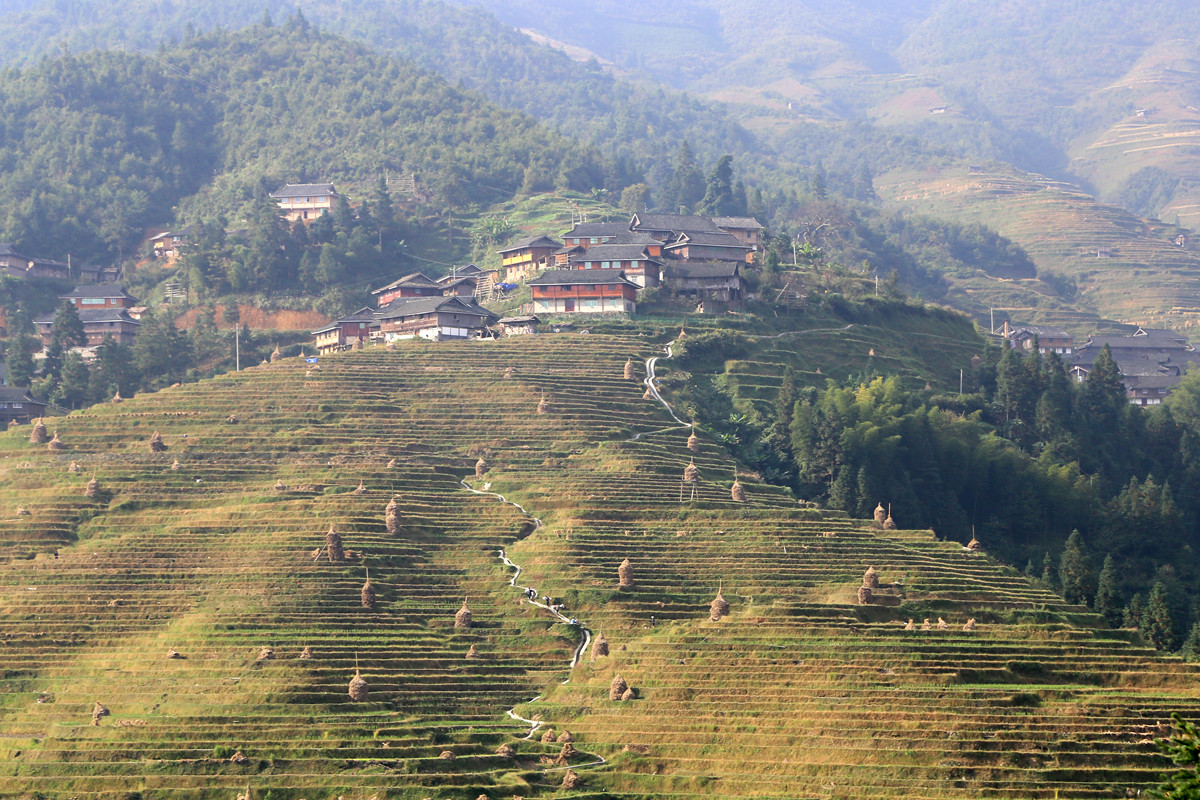 IMG_2119_副本.jpg
