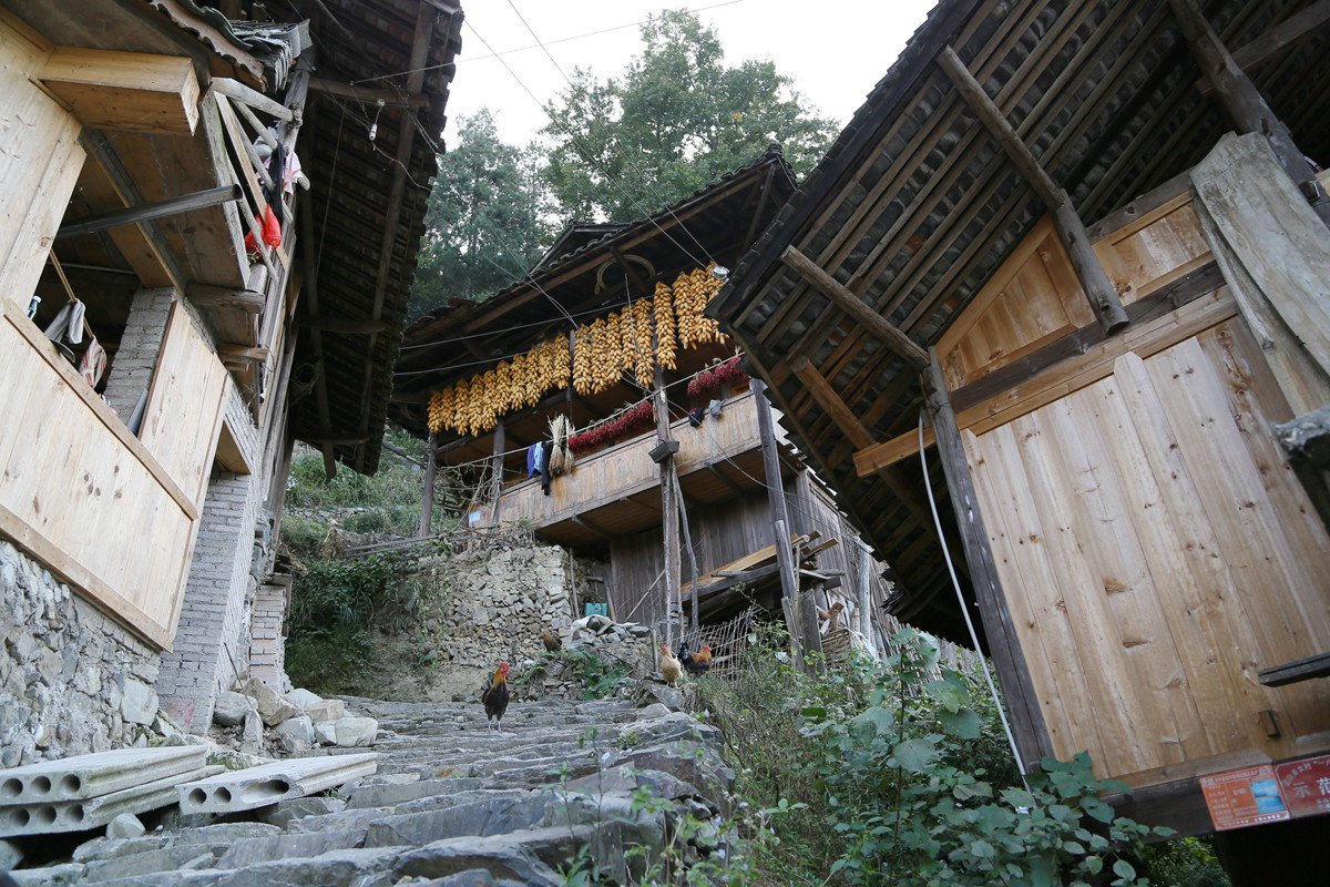 IMG_2228_副本.jpg