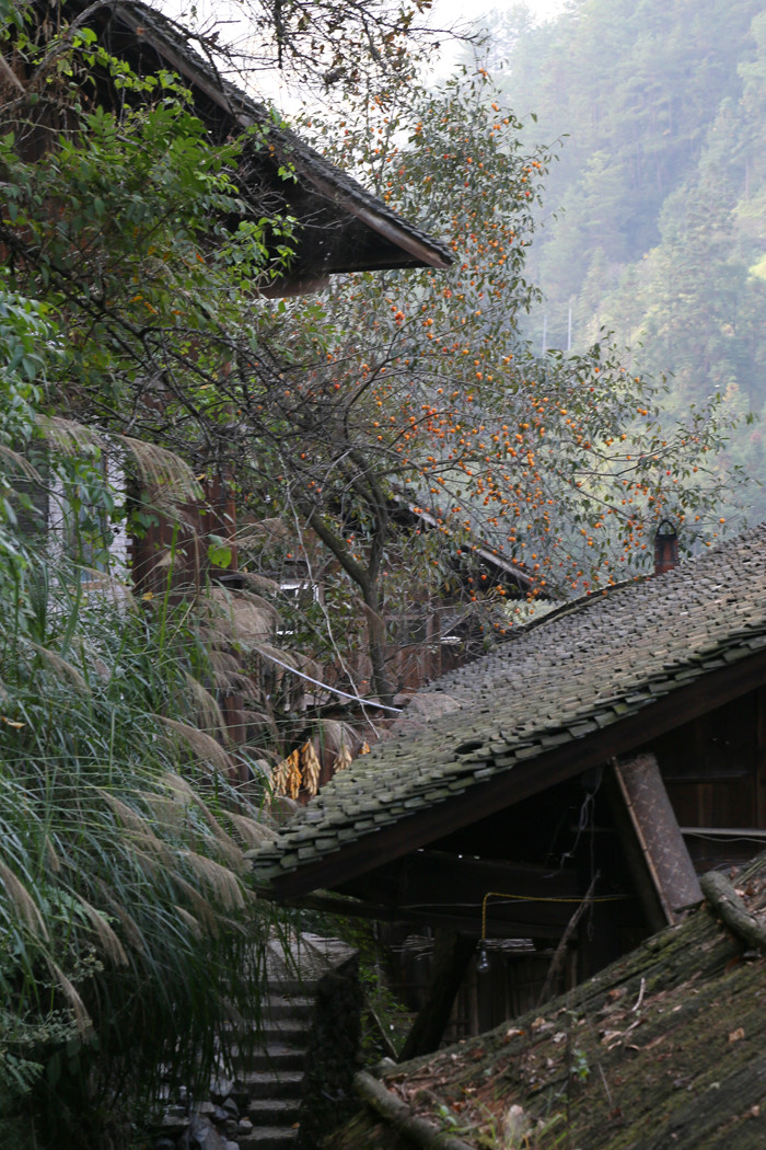 IMG_2241_副本.jpg