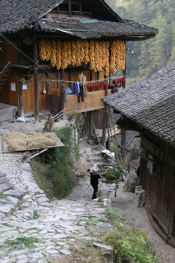 IMG_2264_副本.jpg