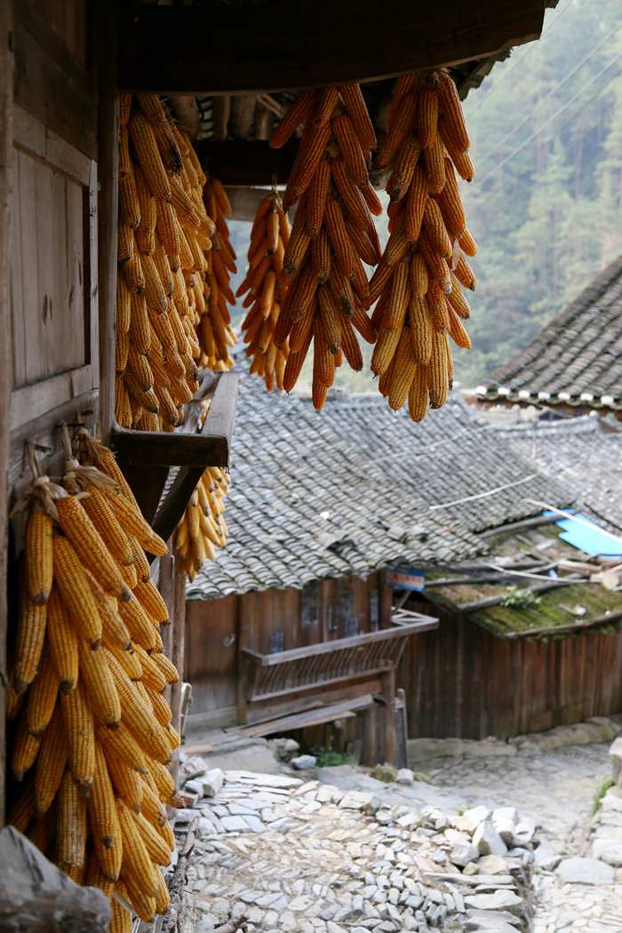 IMG_2270_副本.jpg