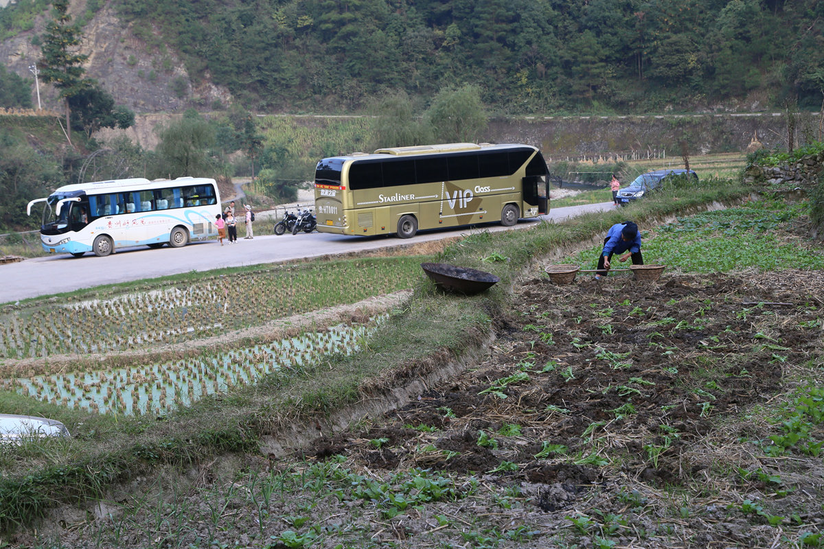 IMG_2277_副本.jpg
