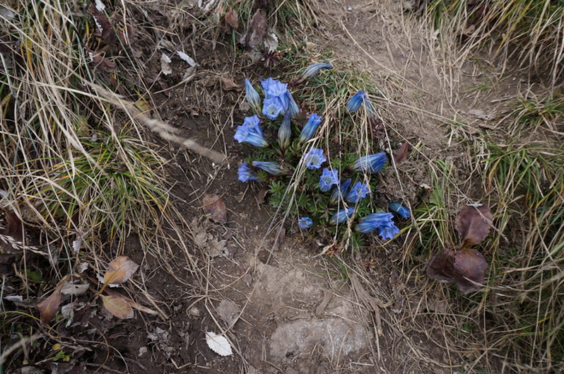 DSC00358.jpg