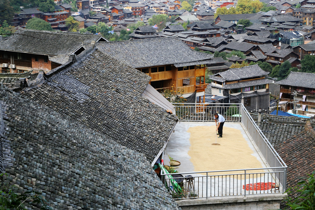 IMG_2552_副本.jpg
