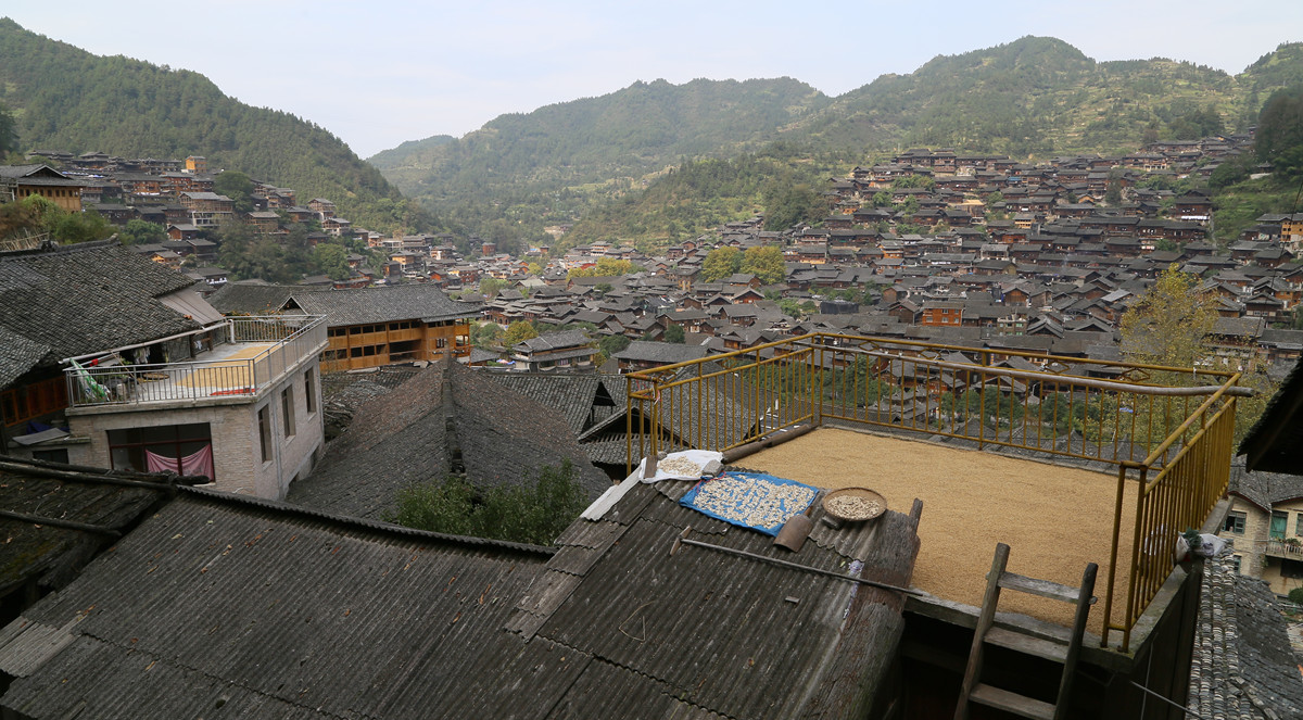 IMG_2559_副本.jpg