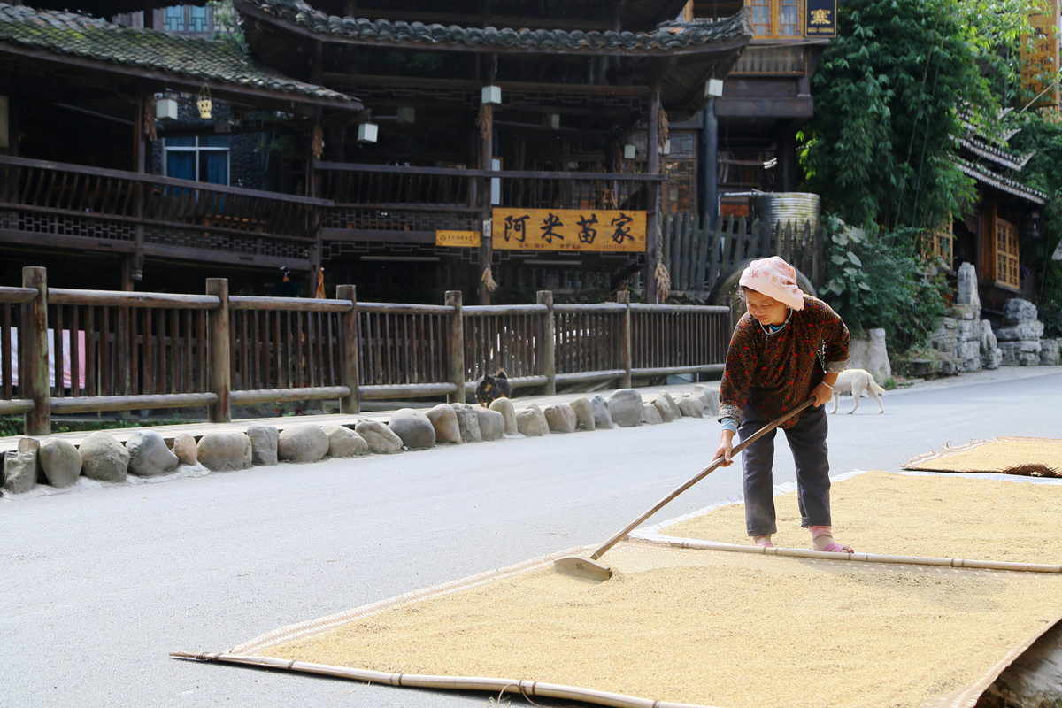 IMG_2576_副本.jpg