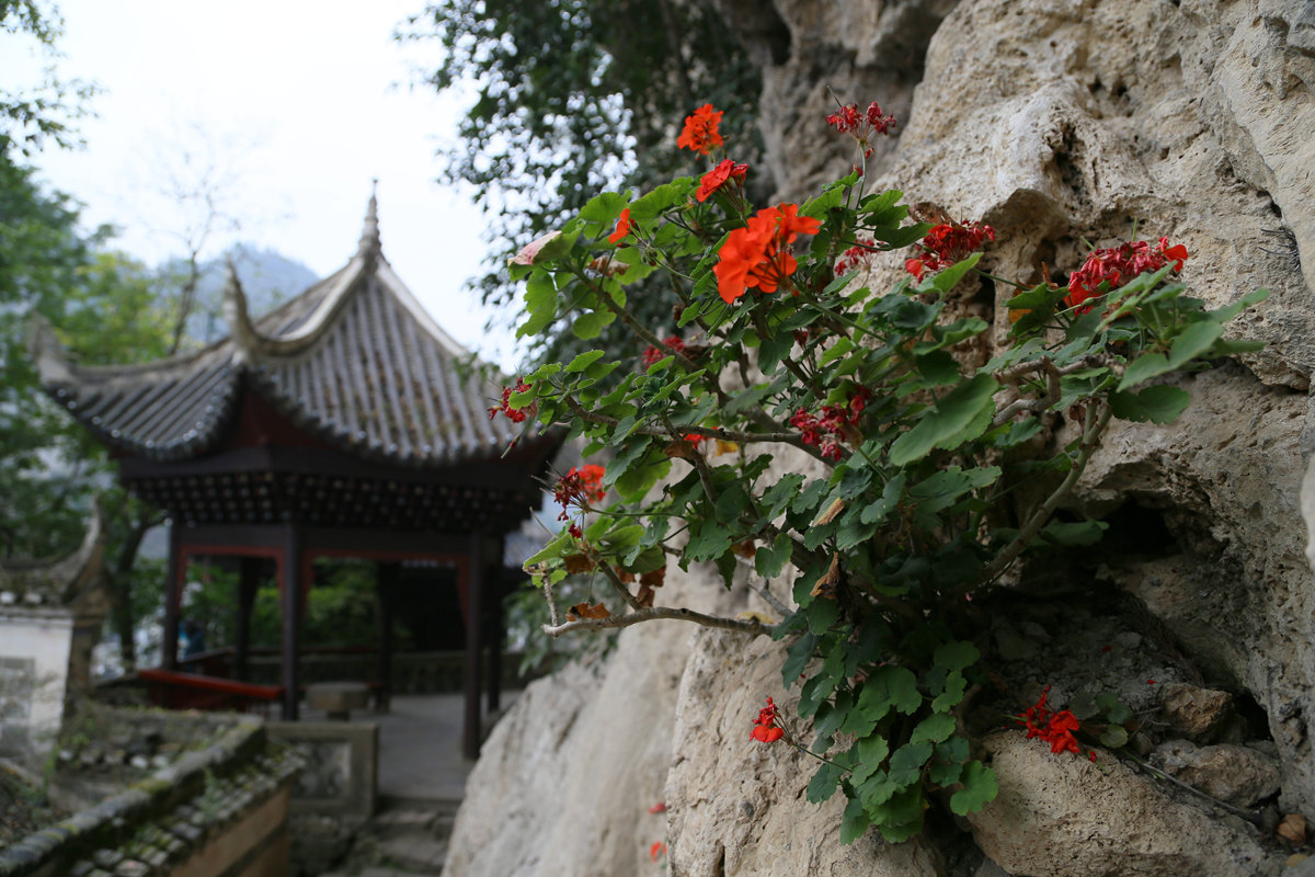 IMG_0482_副本.jpg