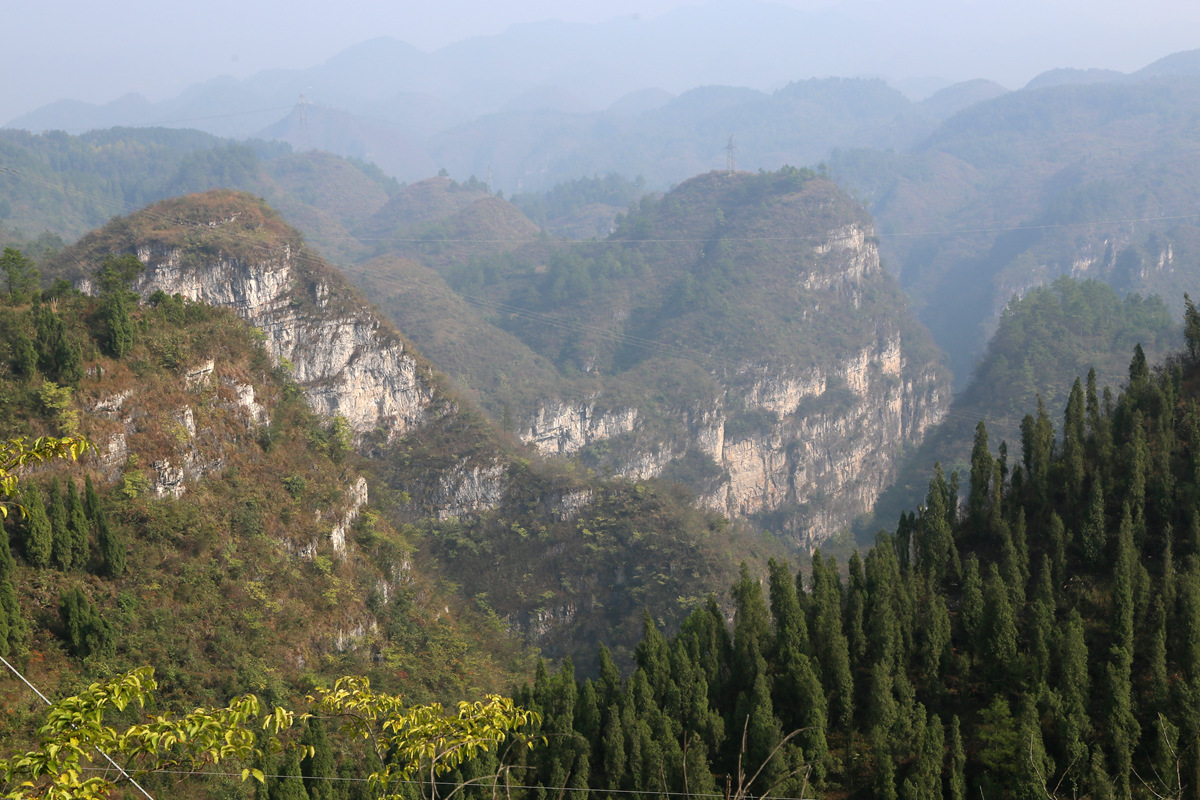 IMG_0974_副本.jpg