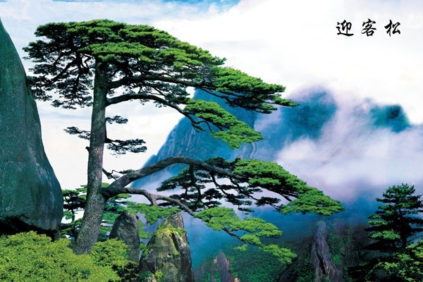 复件 094814ylputgyllgliolpy.jpg.thumb.jpg
