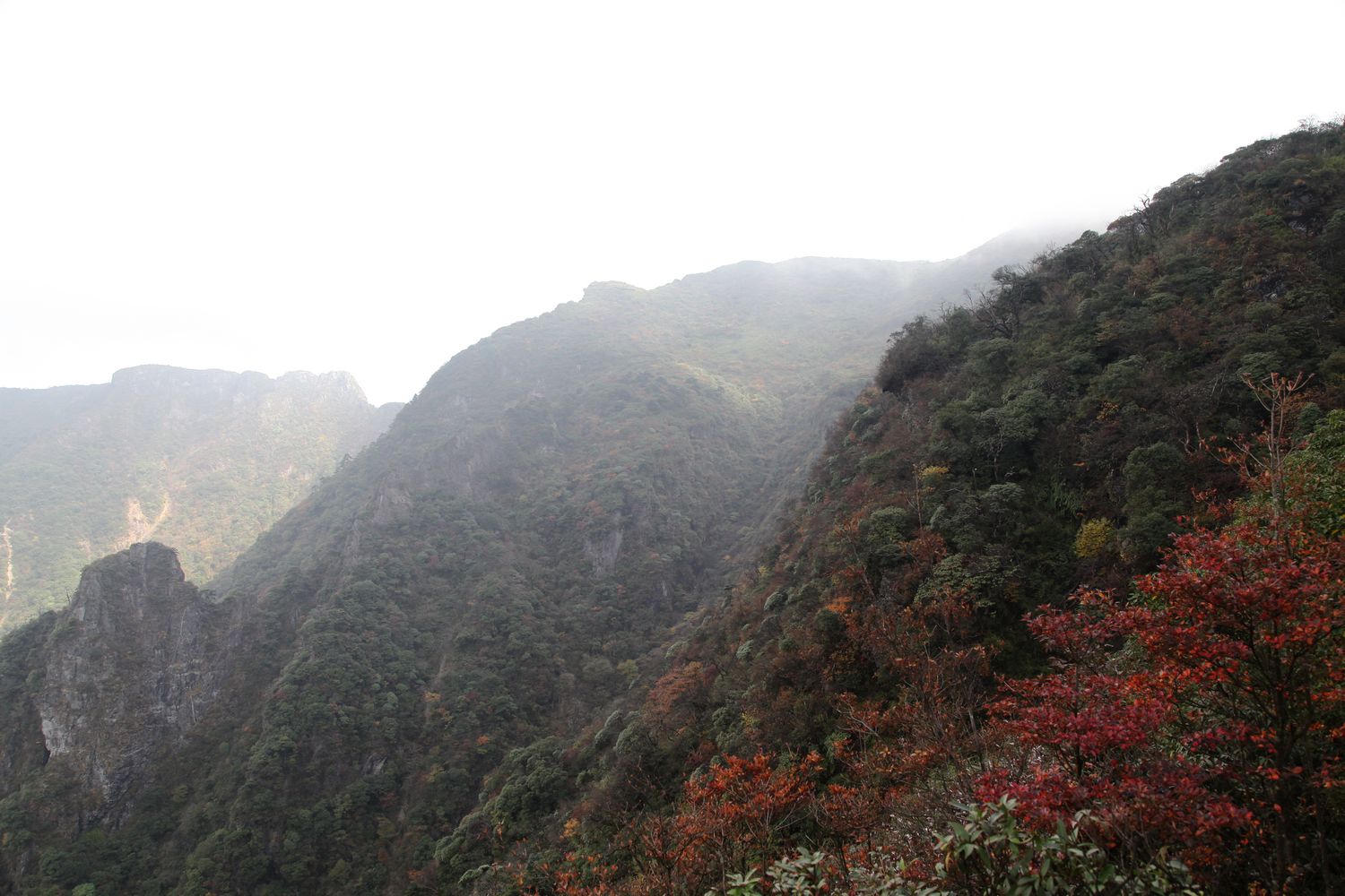 多彩贵州 1830.jpg