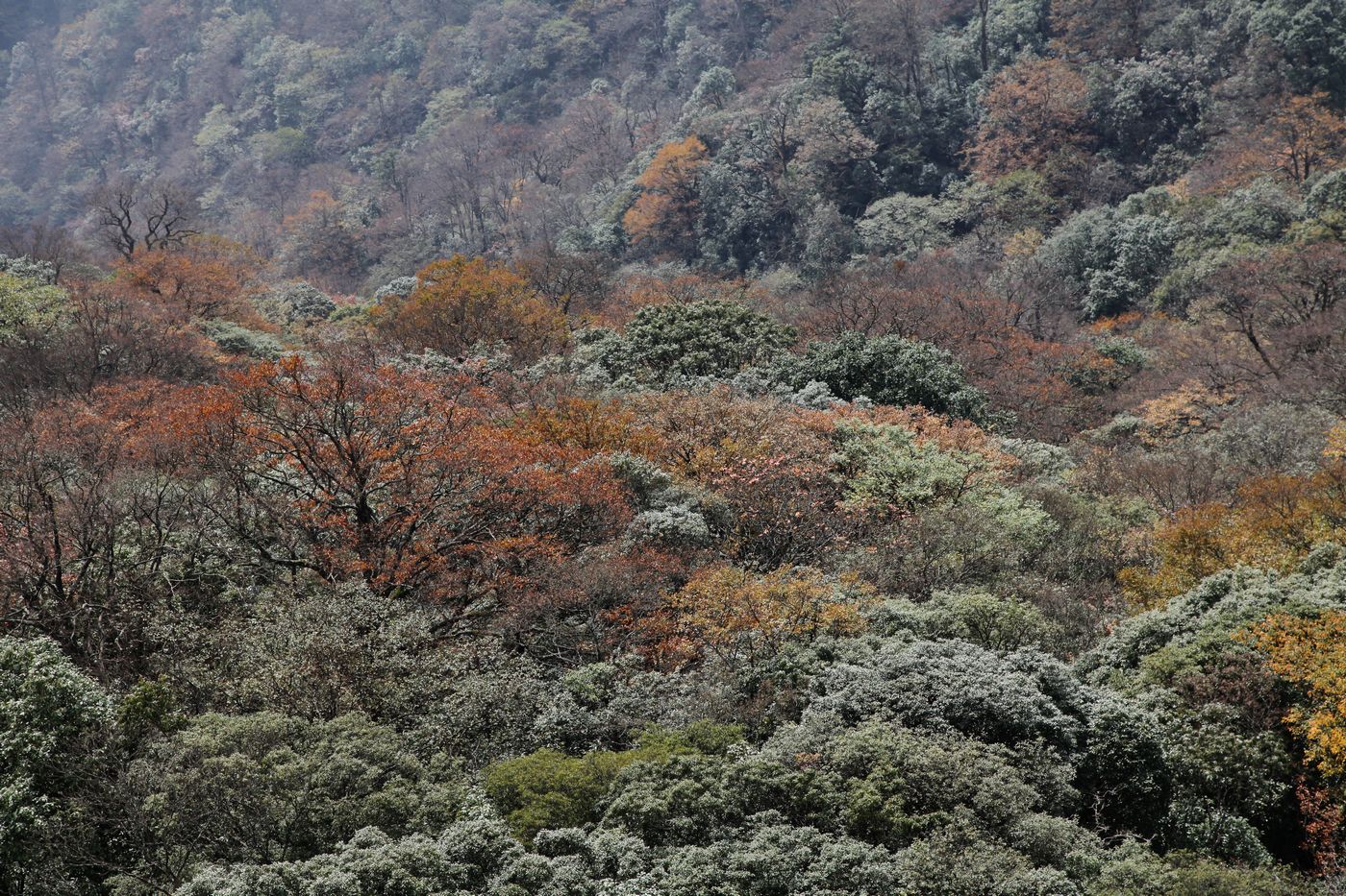 多彩贵州 021.jpg