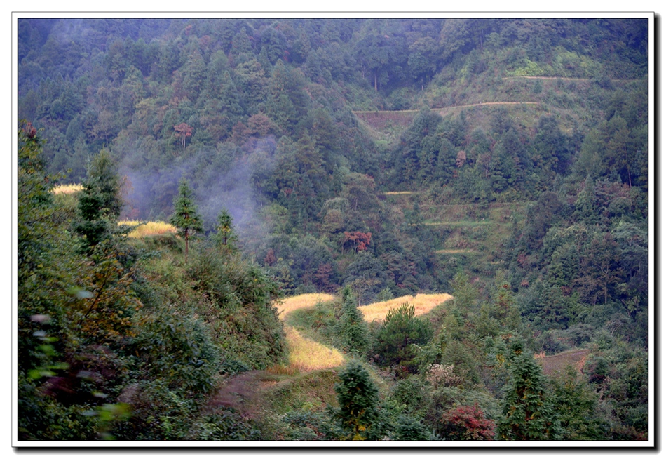 DSC_2145.jpg