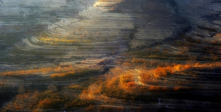 _DSC3021.jpg1.jpg