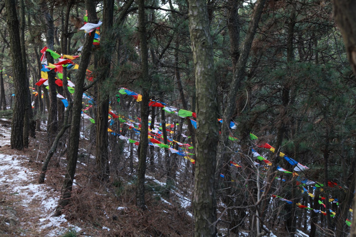 会师烽火台 013.jpg