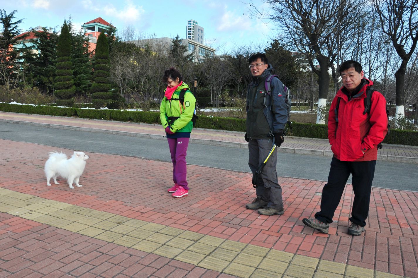 nEO_IMG_DSC_5450.jpg