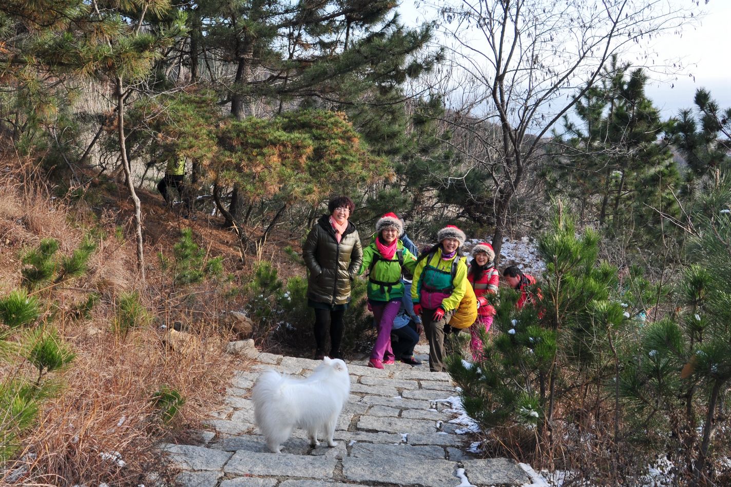 nEO_IMG_DSC_5475.jpg