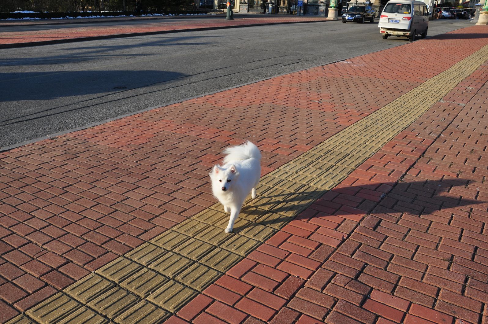 nEO_IMG_DSC_5442.jpg