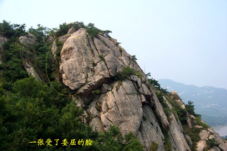 108_9005_缩小大小.jpg