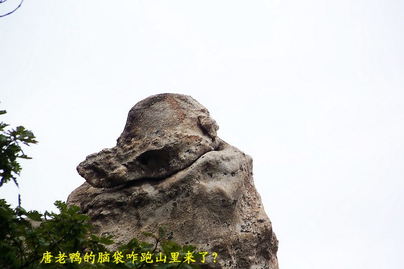 108_9207_缩小大小.jpg