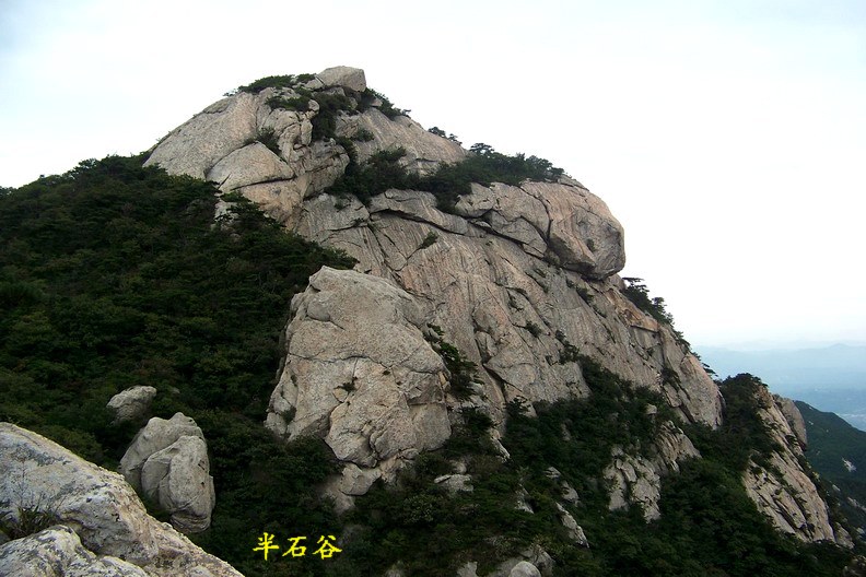 108_9244_缩小大小.jpg