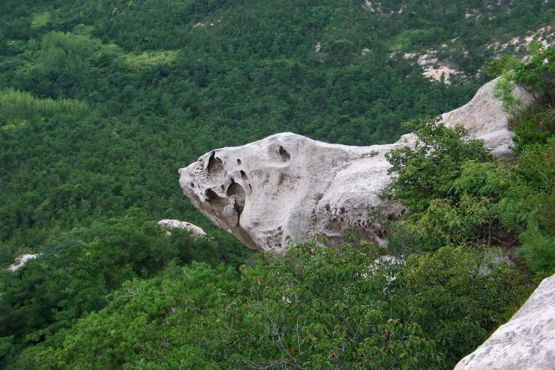 108_9370_缩小大小.jpg