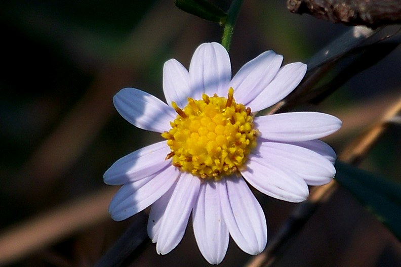 108_9464_缩小大小.JPG