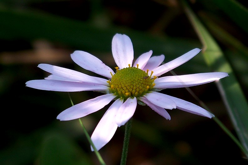 108_9505_缩小大小.JPG