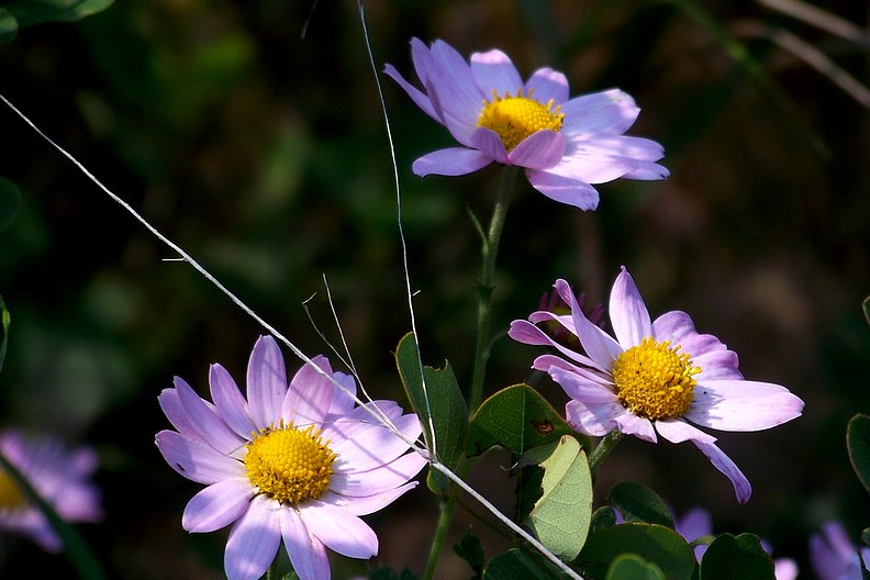 108_9535_缩小大小.JPG