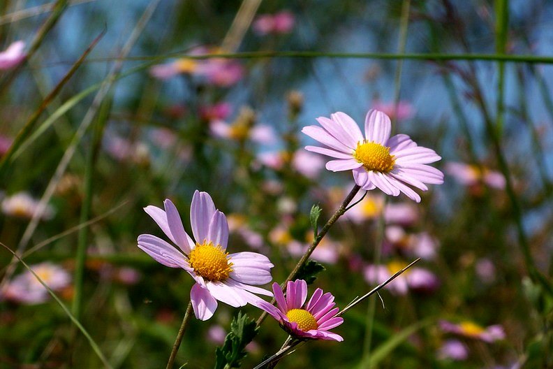 108_9555_缩小大小.JPG